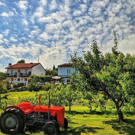 Agriturismo 30 Moniga del Garda Ngoại thất bức ảnh