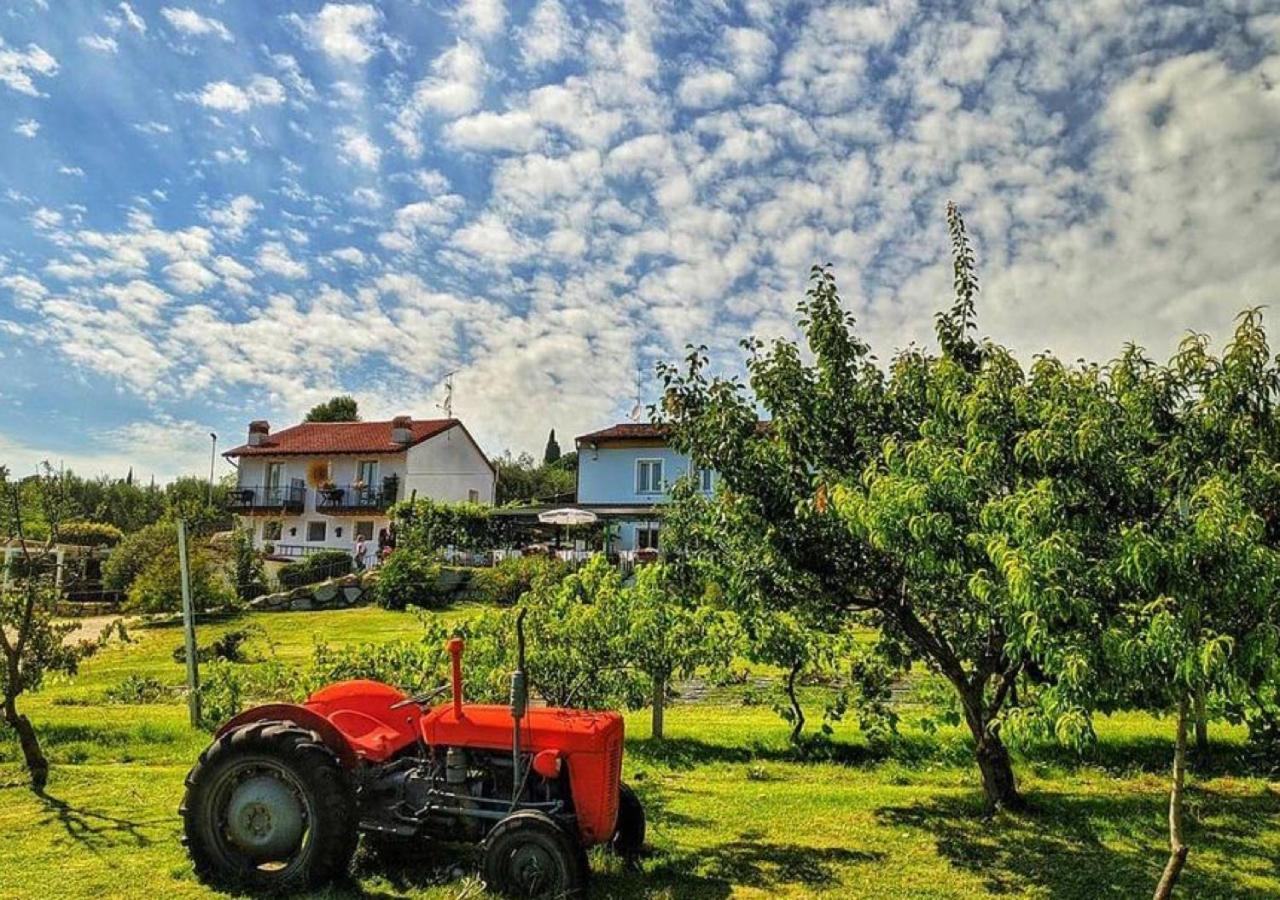 Agriturismo 30 Moniga del Garda Ngoại thất bức ảnh