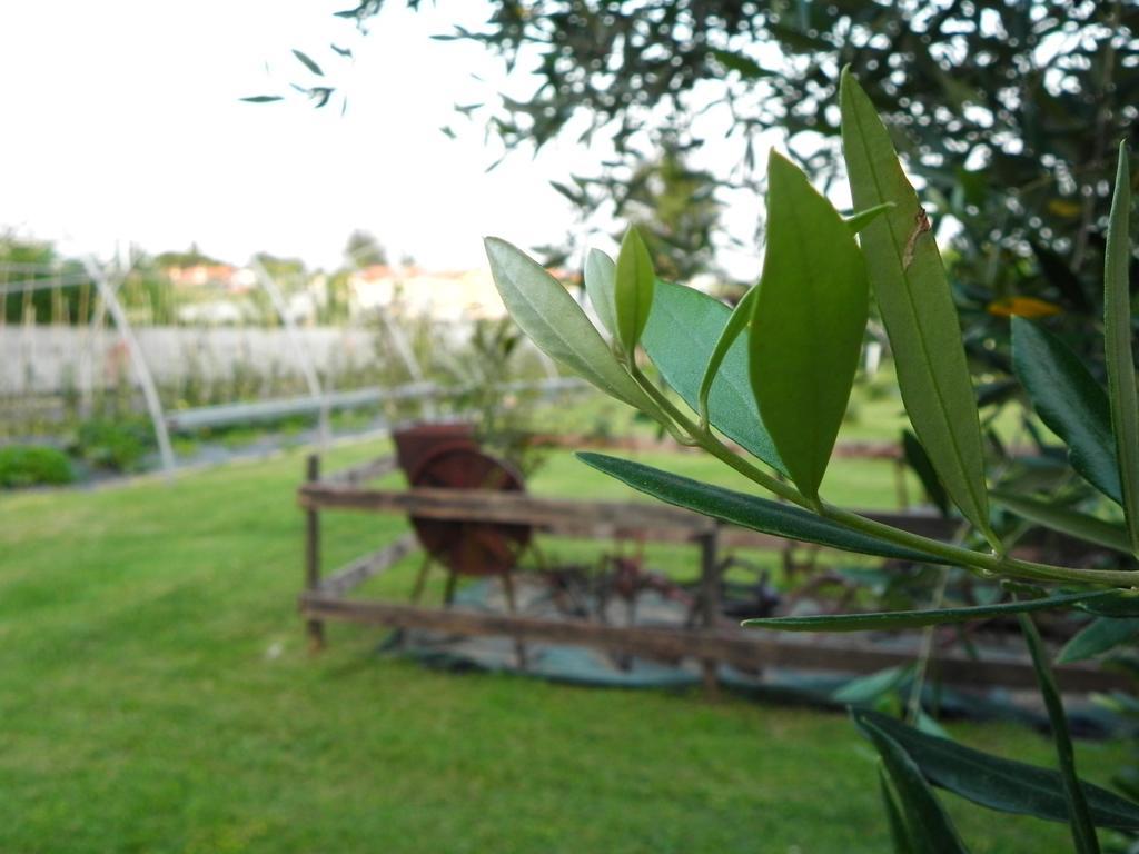 Agriturismo 30 Moniga del Garda Ngoại thất bức ảnh
