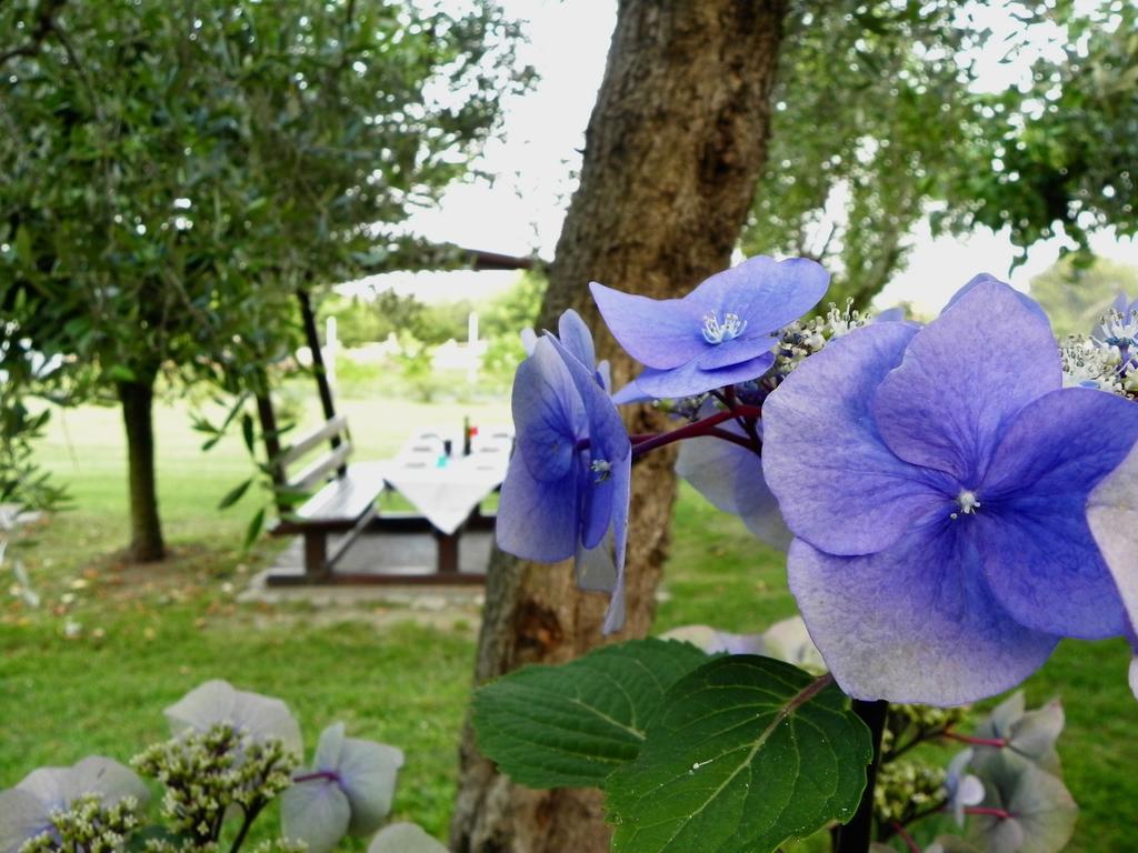 Agriturismo 30 Moniga del Garda Ngoại thất bức ảnh
