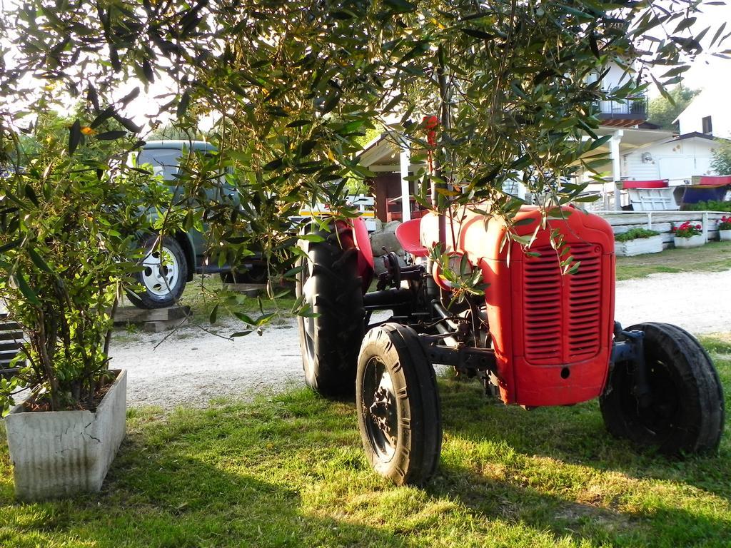 Agriturismo 30 Moniga del Garda Ngoại thất bức ảnh